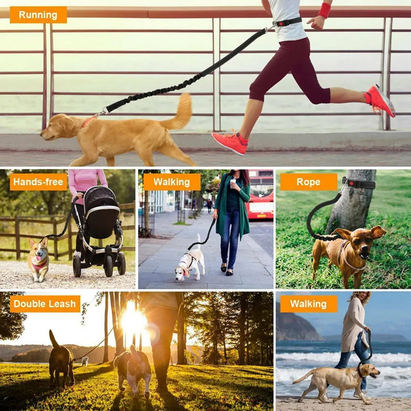 Pet Dog Cat Leash Traction Rope Reflective Adjustable Hand Free Dog Waist Belt Freely Jogging Pull Dog Leash Metal D-Ring Leashe