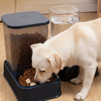 Distributeur de croquettes Chien 
