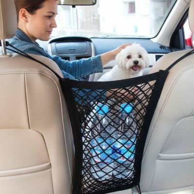 Filet chien voiture 