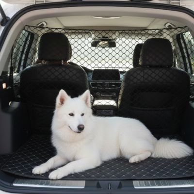 Filet voiture chien 
