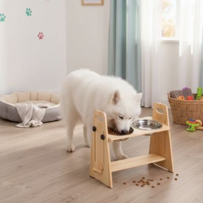 Gamelle chien surélevée 