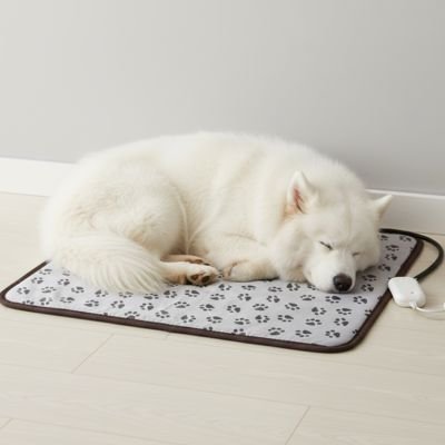 Tapis Chien 