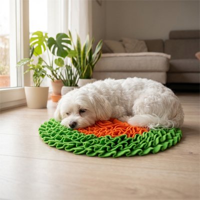 Tapis de fouille Chien 